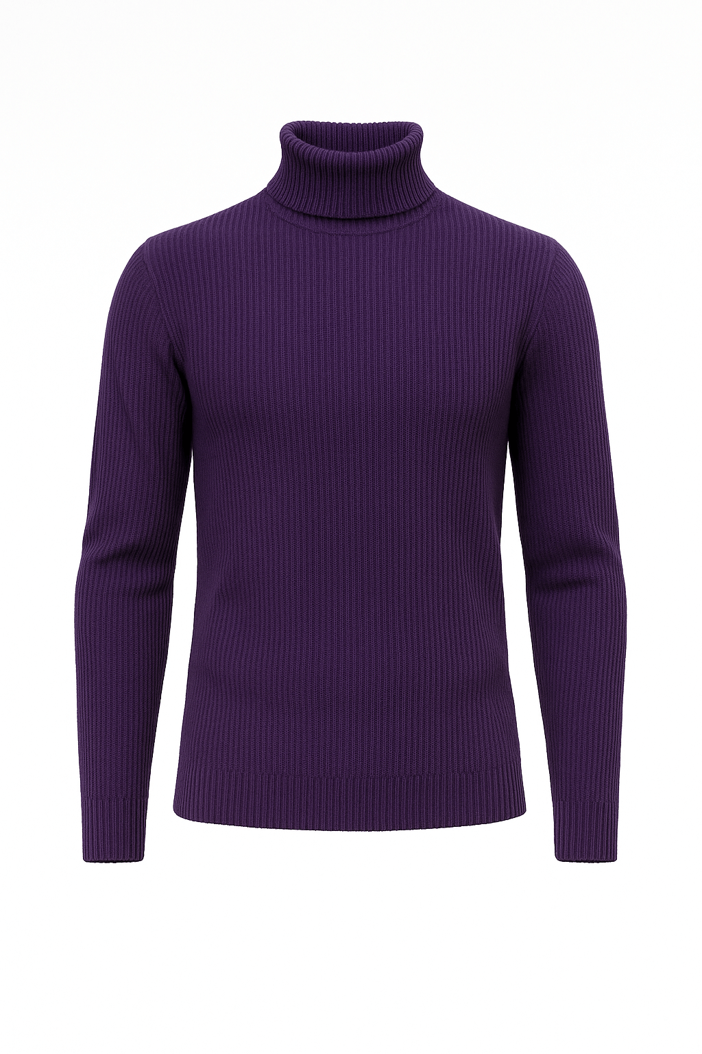 Maglione Collo Alto STING - Purple fronte